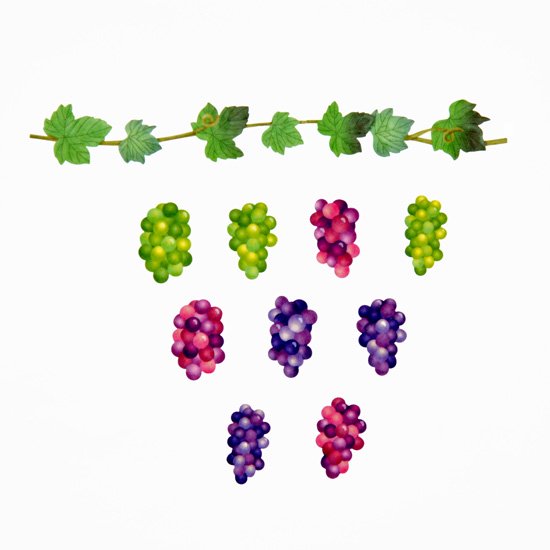 Bande Masking Art Kit - Grape Vine