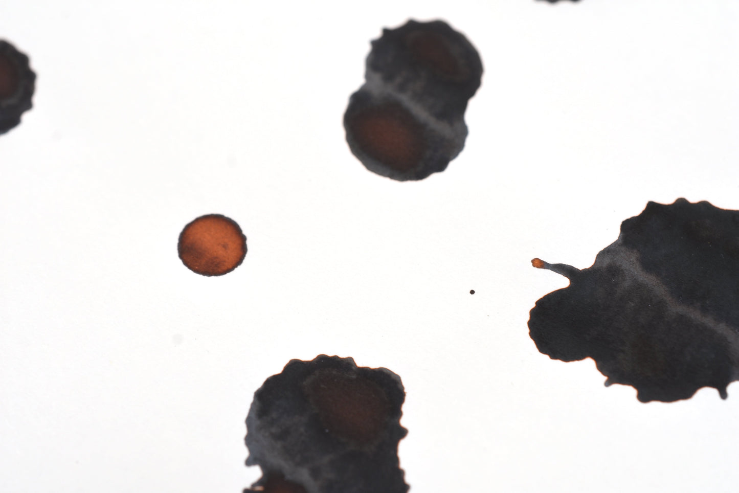 Diamine Fountain Pen Ink - Raw Sienna - 30mL