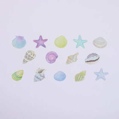 Bande Seashell Blue