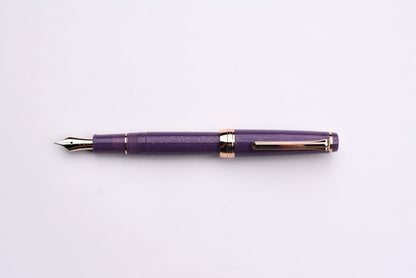BUNGUBOX Original Fountain Pen - Tipsy Mood