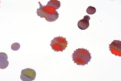 Diamine Fountain Pen Ink - Poppy Red - 30mL