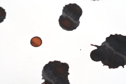 Diamine Fountain Pen Ink - Raw Sienna - 30mL