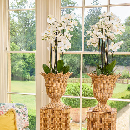 Liliana Scalloped Rattan Urn & Faux Orchid