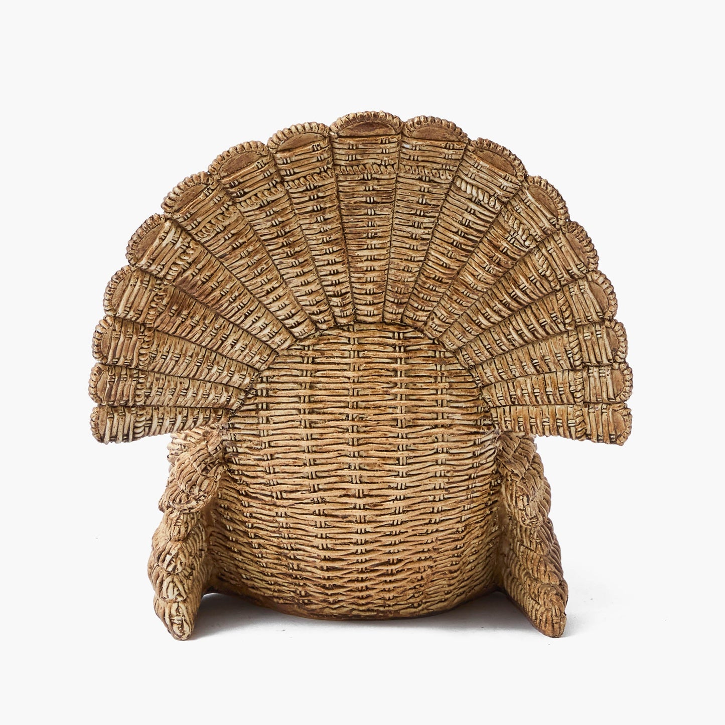 Tom the Turkey
